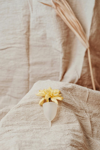 Der Einfluss des Menstruationszyklus auf die Vaginalgesundheit - ohtastic